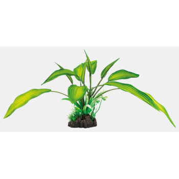 ART PLANT CRYPTOCORYNE